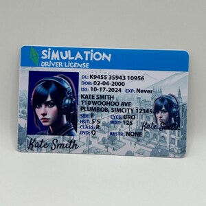 Benutzerdefinierte Sims inspiriert Führerschein, Videospiel Geschenk, personalisierte Geburtstagsgeschenk für Gamer, Plumbob Karte