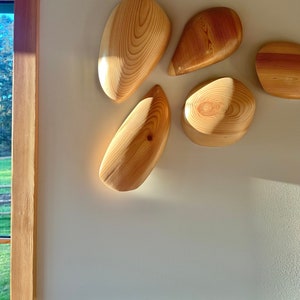 Wood Wall Sculptures (10) 3D wall art, round shape, dimensional wall art, unique wall hanging.