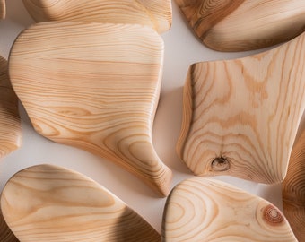 Organic Wood Wall Sculpture - hand carved, Nature Inspired Wall Art