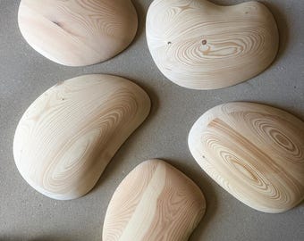 Large Organic Wood Wall Installation - Sculptural Architectural Art - Reclaimed Wood Composition ( Set of 5)