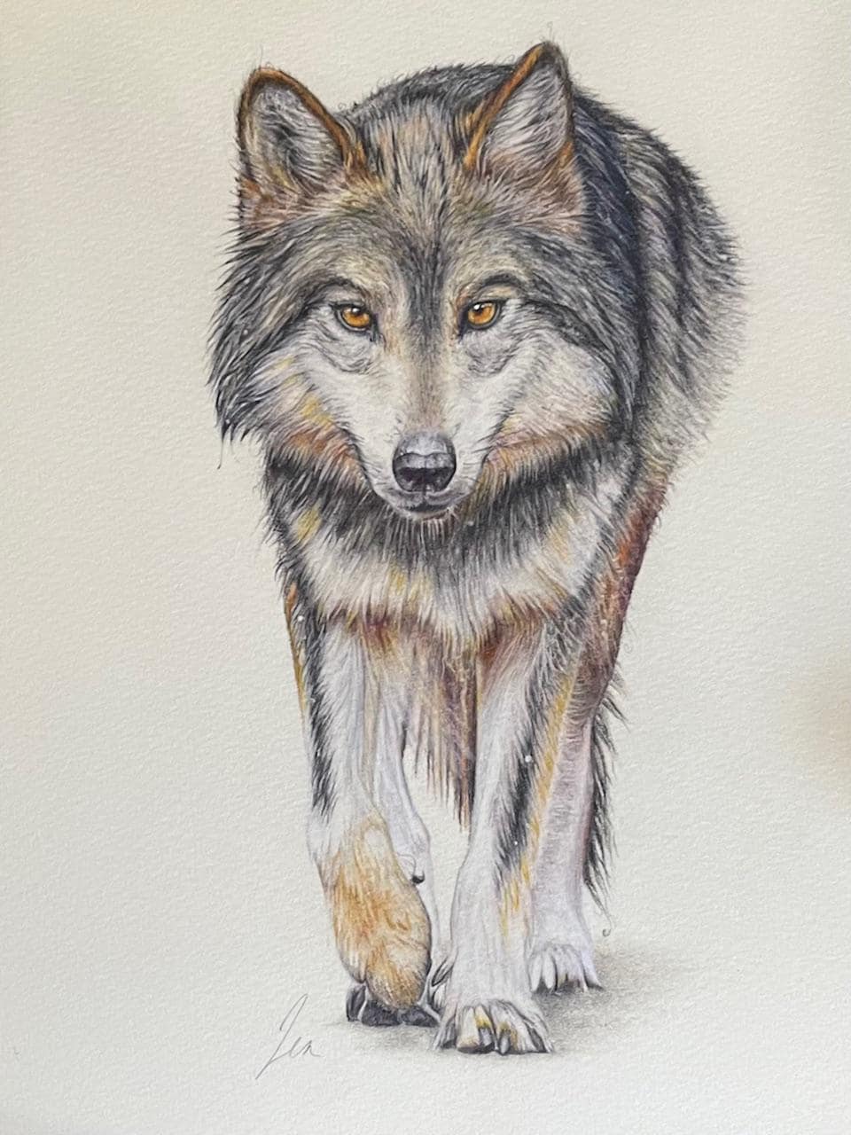 Wolf bleistiftzeichnung - Etsy Österreich, image size:960x1280