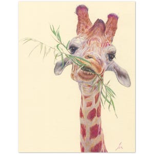 Cartes de voeux Giraffe Art – Lot de 10, papier mat premium respectueux de l'environnement, États-Unis et Californie