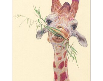 Op de afbeelding: Een close-up van een giraffenkop en -nek, getekend met kleurpotloden. De giraffe eet bladeren van een tak, met zijn mond open en tong zichtbaar. De achtergrond is lichtgeel.