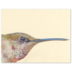 Cartões de saudação artísticos de beija-flores – Pacote com 10, papel ecológico, (EUA e Canadá)