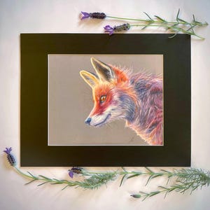Wall art portrait of red fox wildlife print hand-drawn fox illustration woodland animals drawn by hand drawn giclee for living room decor