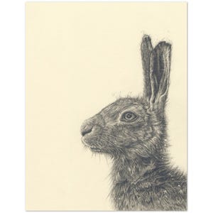 Prachtige British Hare Art Cards - handgetekende - (pak van 10) alleen VS en CA