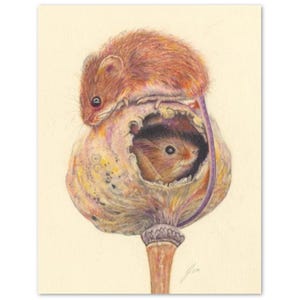 Harvest Mice Art Cards (verticaal formaat)10 wenskaarten (VS en CA)