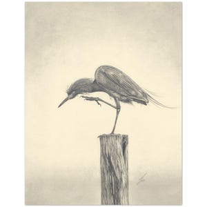 Pacote de cartões comemorativos, garça-branca-avermelhada, pássaro, garça ilustrada, cartões de visita, amante de pássaros, desenhado à mão, cartão de arte a lápis, obrigado, natureza (EUA e Canadá)