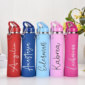 Custom Travel Bottle,Tumbler With Straw,Christmas Gifts,Water Bottle,Personalized Bottle,Sports Water Bottle,Christmas Gift,Gift For Him