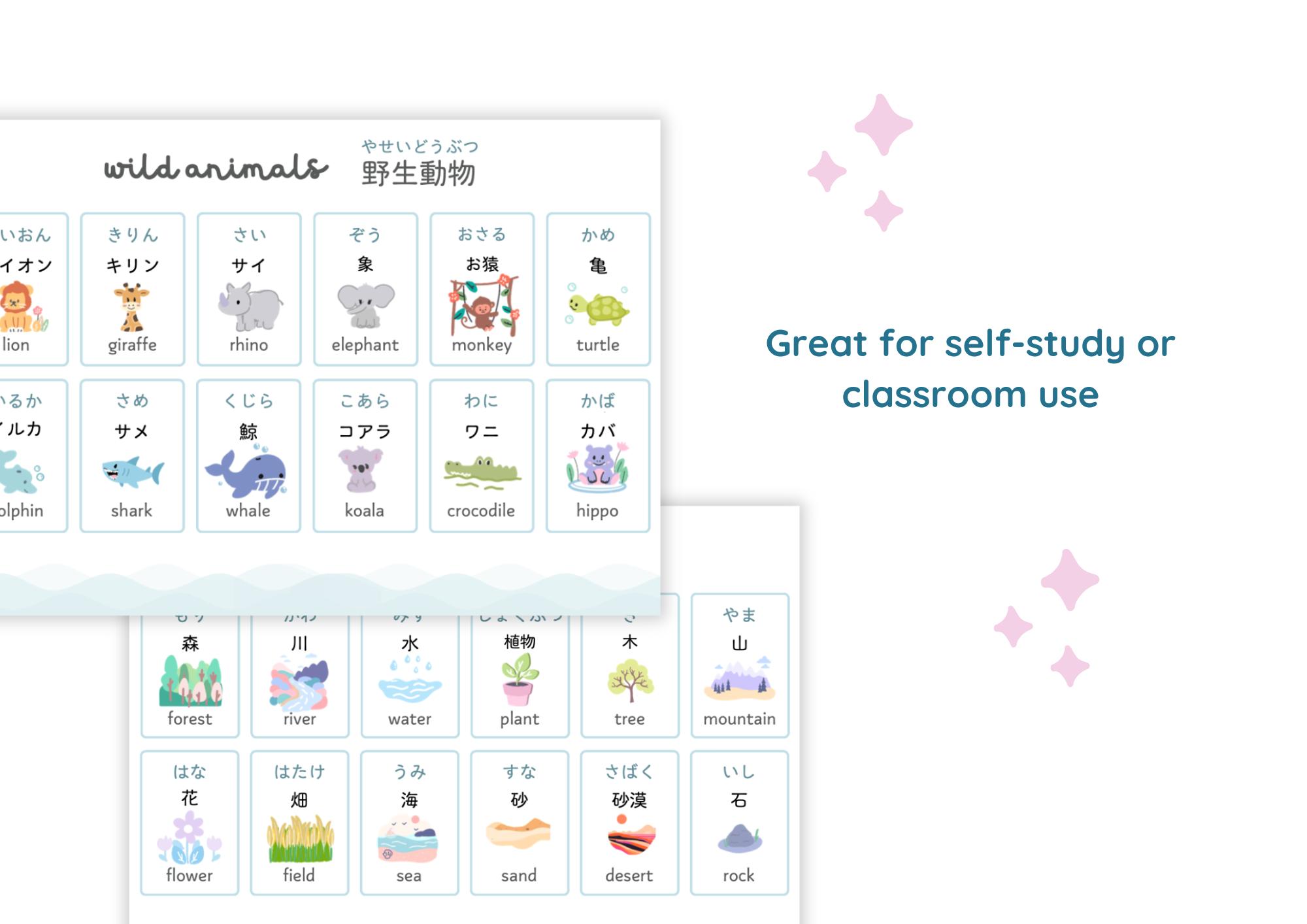 250+ Japanese Vocabulary Flashcards Printable PDF | Beginner Words by ...