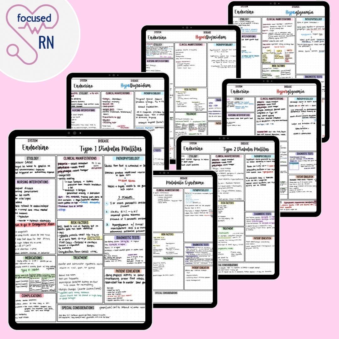 ATI Med-surg Endocrine Study Guide | Nursing School Notes PDF - Etsy