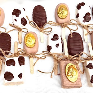 Kentucky Derby Cowboy Western Chocolate Treats Dipped Drizzled Pretzels Rice Krispies Cakepop Cakesicle Oreos Baby Shower Birthday Boots Hat