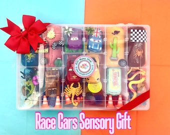 Racing Car Playdough Sensory Kit | Montessori-Inspired Desert Theme | 4 Cars figures | Cactus, Insects, Cones, Charms & Fidget Toys | Gift