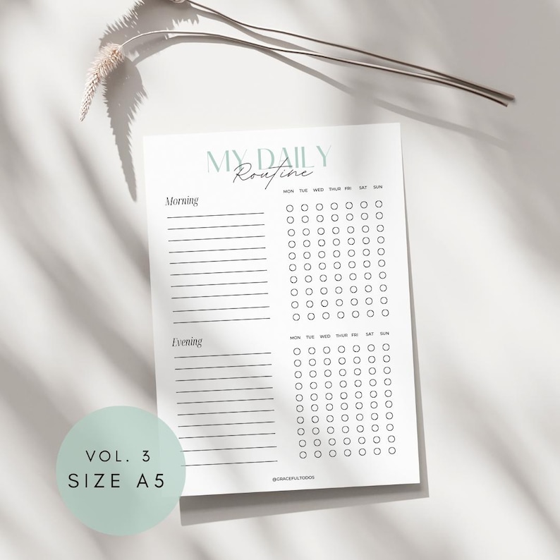 Daily Routine AM PM Checklist Printable Download Blank Habit Tracker ...