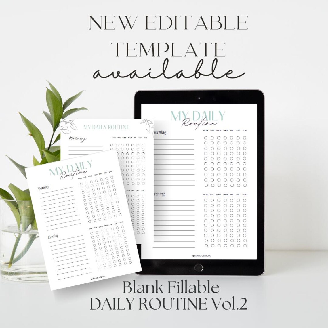 Editable Daily Routine Checklist: AM PM Habit Tracker (canva Template ...