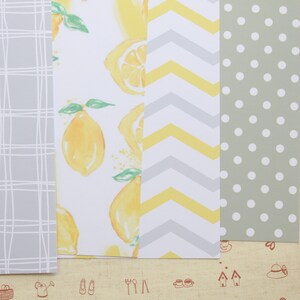 Lot 02 papier cartonné imprimé citron, mélange de papier 250 g