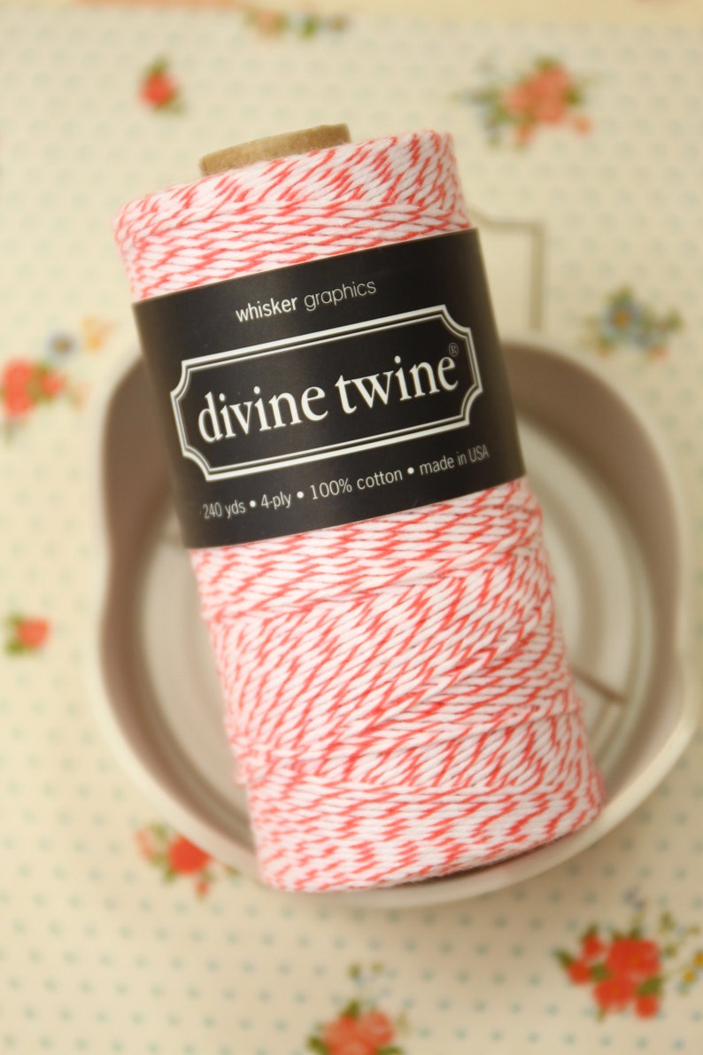Coral Divine Twine 240yds