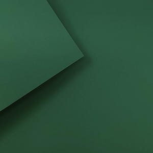Papier cartonné couleur vert forêt mat Basics 290 g image 1