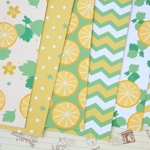 Lot de 02 papier cartonné imprimé Été citron-lime 250 g/m²