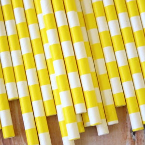 Yellow Circle Stripe Paper Straws image 1