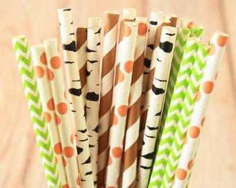 Woodland Adventure mix designs paper straws multipack