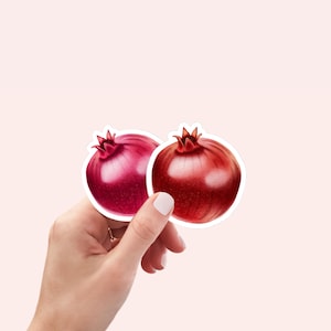 Adesivo melograno acquerello, decorazione per telefono, decalcomania per diario, arte da cucina, espositore da parete, design di frutta, scrapbooking, forniture, decorazione rosa, decorazione per laptop