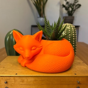 May include: An orange fox-shaped plant pot containing a green succulent. The fox is curled up, with its eyes closed. The pot sits on a wooden box, with other plants in the background.