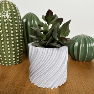 Puede incluir: Una pequeña planta suculenta con hojas verdes oscuras en una maceta blanca texturizada con un patrón en espiral. La maceta está sobre una superficie de madera, con cactus de cerámica verde y objetos decorativos en forma de bola en el fondo. Un artículo de decoración del hogar moderno y minimalista.