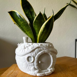 Può includere: Un vaso di ceramica bianca a forma di casa stravagante, con una porta e una finestra rotonde. Contiene una pianta del serpente con foglie a strisce verdi e gialle. Il vaso è su una superficie di legno.