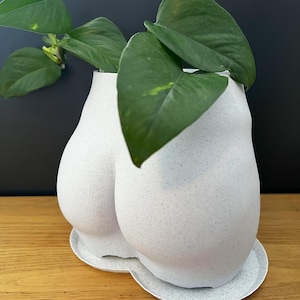 Könnte beinhalten: Zwei weiß gesprenkelte Keramik-Pflanzgefäße, die jeweils eine grüne Blattpflanze enthalten. Die Pflanzgefäße sind an der Basis verbunden und stehen auf einer passenden gesprenkelten Untertasse. Der Hintergrund ist dunkelgrau.