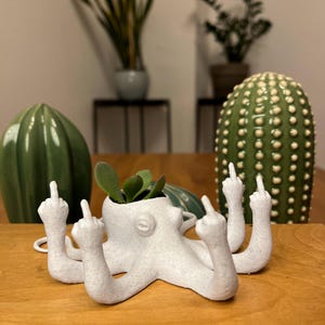 Oktopus Blumentopf mit Mittelfinger – Frecher Pflanztopf | Lustige Deko und Geschenk für Humor, Büro & WG