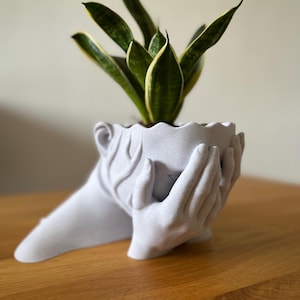 Halvhuvudig blomkruka med ansikte – Surrealistisk modern 3D-dekoration för suckulenter och extraordinär design