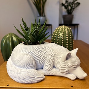 Op de afbeelding: Een witte, keramische vossenplanter met een groene vetplant. De vos ligt ontspannen, met gedetailleerde vachttextuur. Andere groene planten zijn zichtbaar op de achtergrond. Een decoratief item.