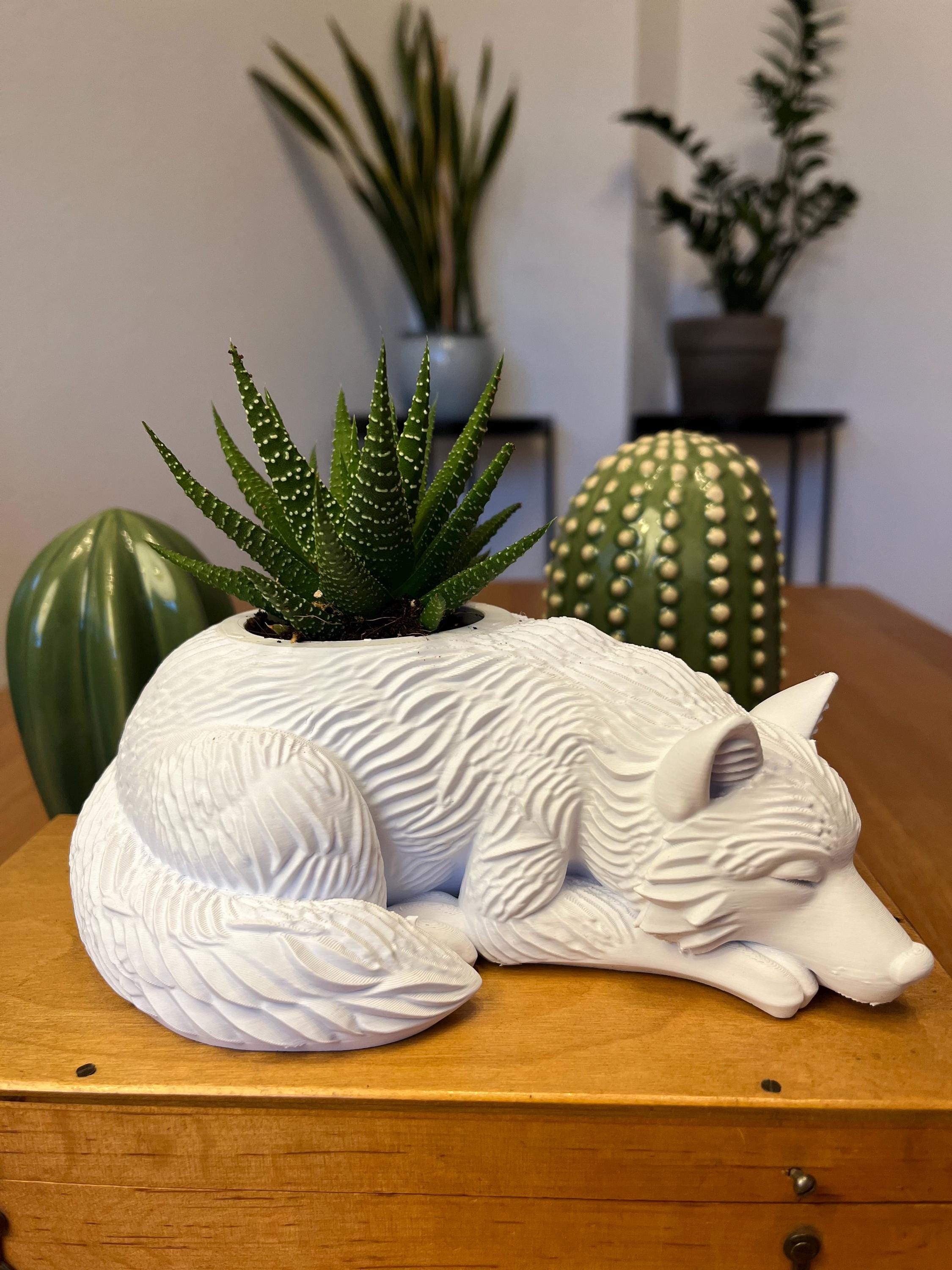 Mermaid succulents - Etsy.de