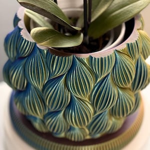 May include: A blue and green ceramic planter with a textured, wave-like design. The planter is filled with a green plant with long, thin leaves.