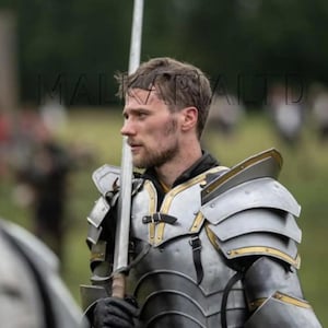 May include: A person wearing silver and gold medieval armor, holding a long sword. The armor has layered plates and gold accents. The person is in a field, with a blurred background.