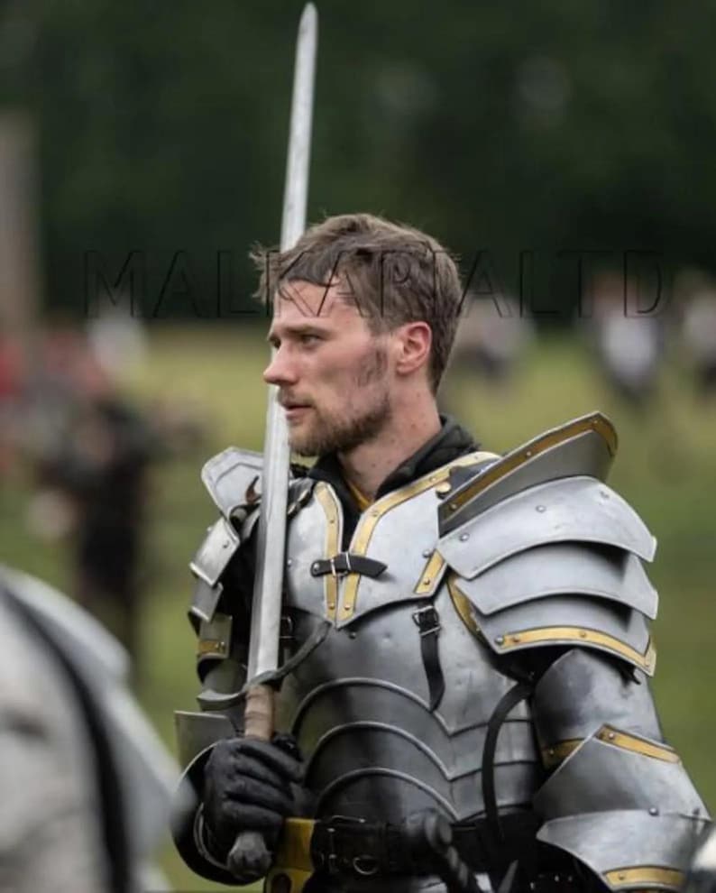 May include: A person wearing silver and gold medieval armor, holding a long sword. The armor has layered plates and gold accents. The person is in a field, with a blurred background.