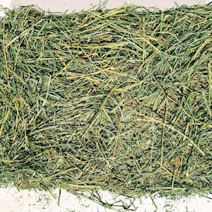 5 lbs of Hay, 3rd Cutting Orchard Grass Alfalfa Mix For Rabbits, Chinchillas, Guinea Pigs, Gerbils, and Other Small Animals