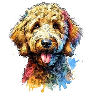 Cachorro Labradoodle en acuarela PNG, clip art PNG para uso comercial, fondo transparente PNG, descarga digital, arte de sublimación