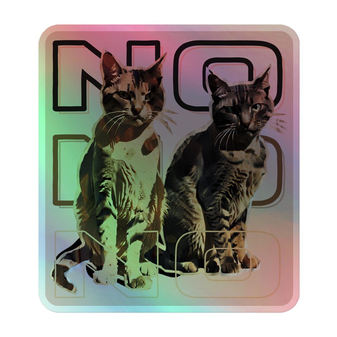 No Cat Sticker Holographic Cat No Sticker, Funny Cat Decal, Pet Attitude Vinyl, Laptop ...
