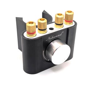Aangepaste Nobsound mini-eindversterker (NS-01G) buismontage