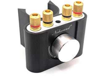 Amplificatore di potenza mini Nobsound personalizzato (NS-01G) con montaggio a tubo