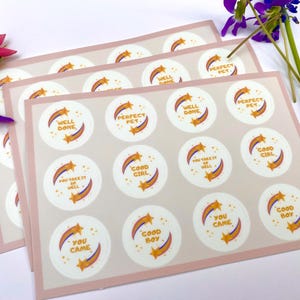 May include: Three sheets of white stickers with a pink border. Each sheet has 12 round stickers with colorful star and rainbow designs. The stickers have positive messages such as "Well Done", "Perfect Pet", "You nailed it", "Good Girl", "Good Boy", and "You Came".