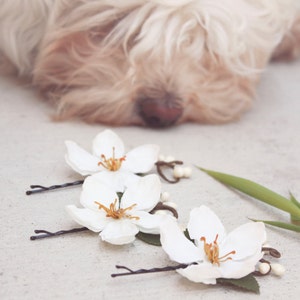 wedding flower, hair accessories, bridal aceccessories