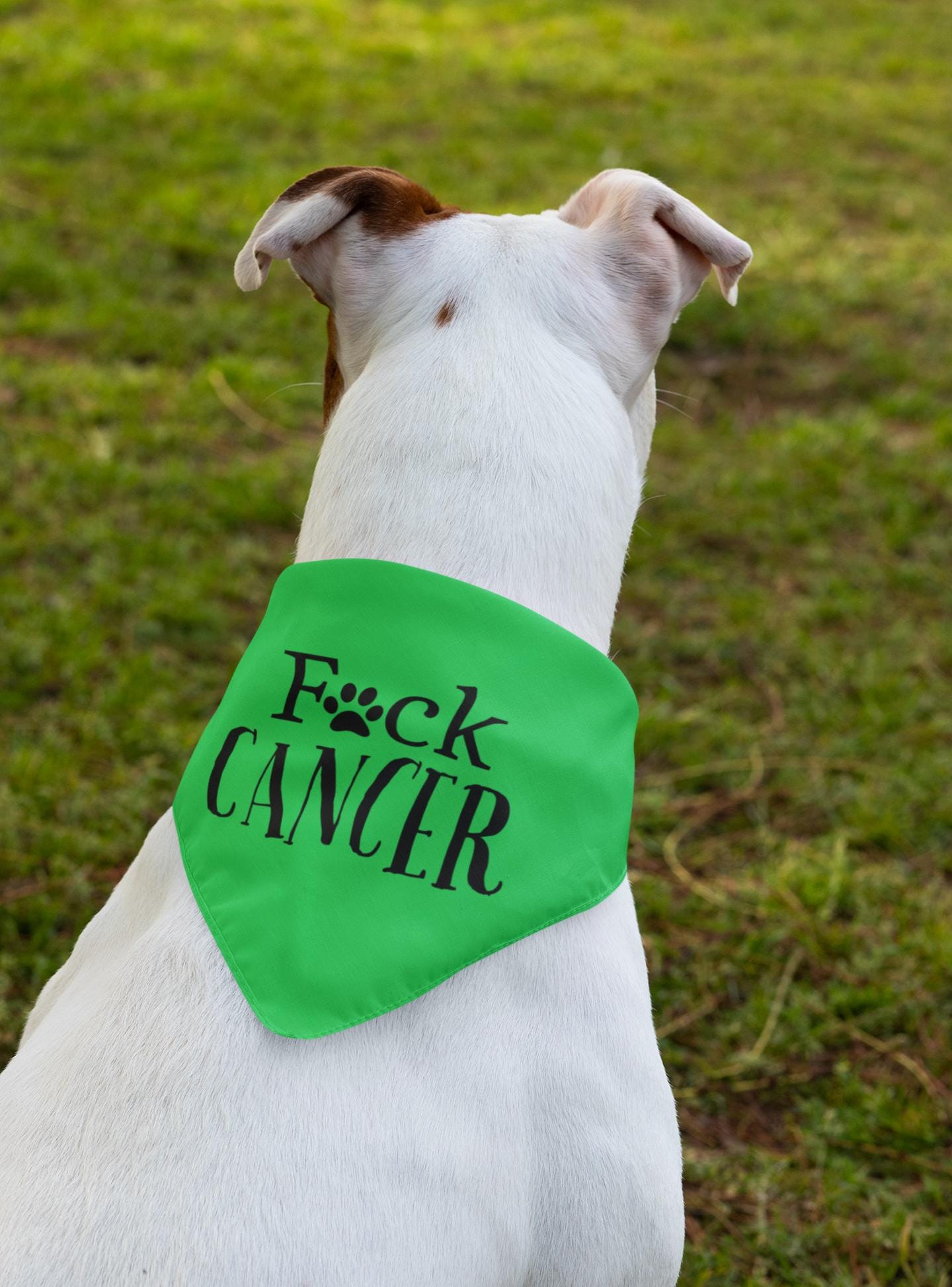 Canine Cancer Bandana, Fuck Cancer Dog Bandana, Pet Cancer