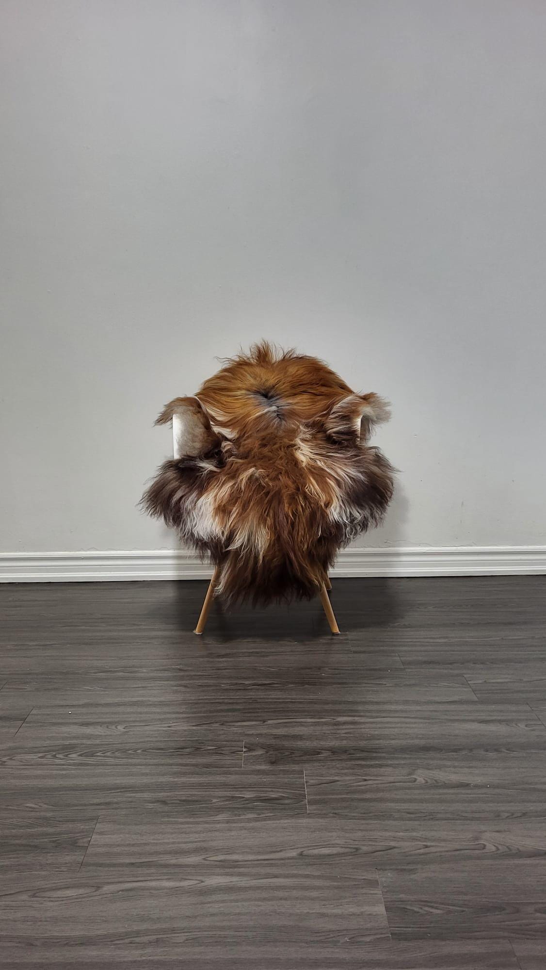 Natural Icelandic Sheepskin Fur Rug New House Gift Real Wool Blanket Humanely Sourced Lambskin Seat Cover Housewarming Present Carpet