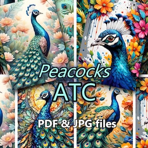 ATC Peacock Birds, Birds Printable, Digital art birds, Printable Digital Download 2.5x3.5 inches, Junk Journal, Card making, ATC 39