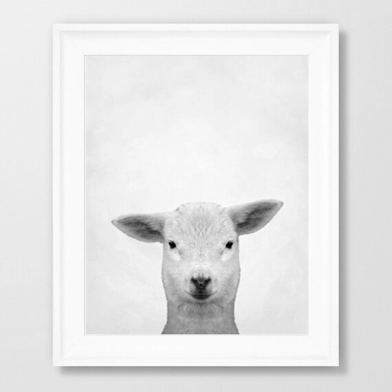 Digital Print Lamb Printable Sheep Print Gray Print Wall Etsy