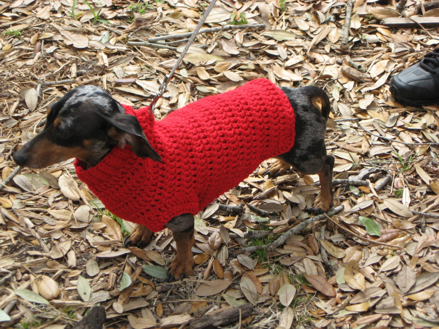 Blue Dog Sweater Medium Dog Sweater Large Dog Sweater Etsy