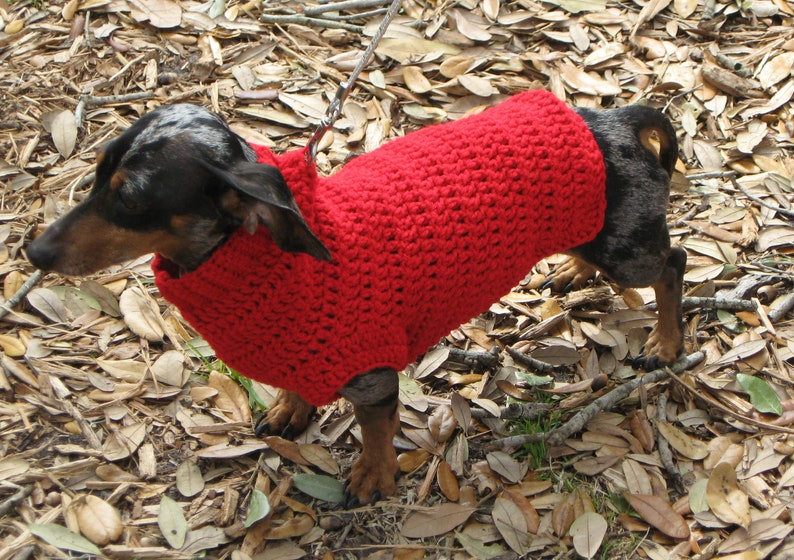 Dog sweater in camoflage, med dog sweater, large dog sweater, camo dog sweater, crochet dog sweater. image 5